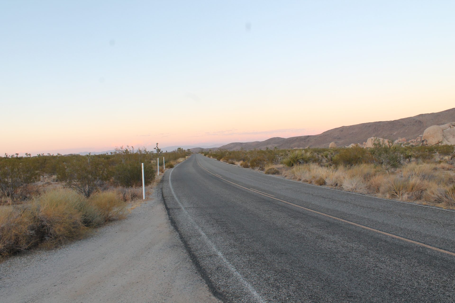 Joshua Tree photo