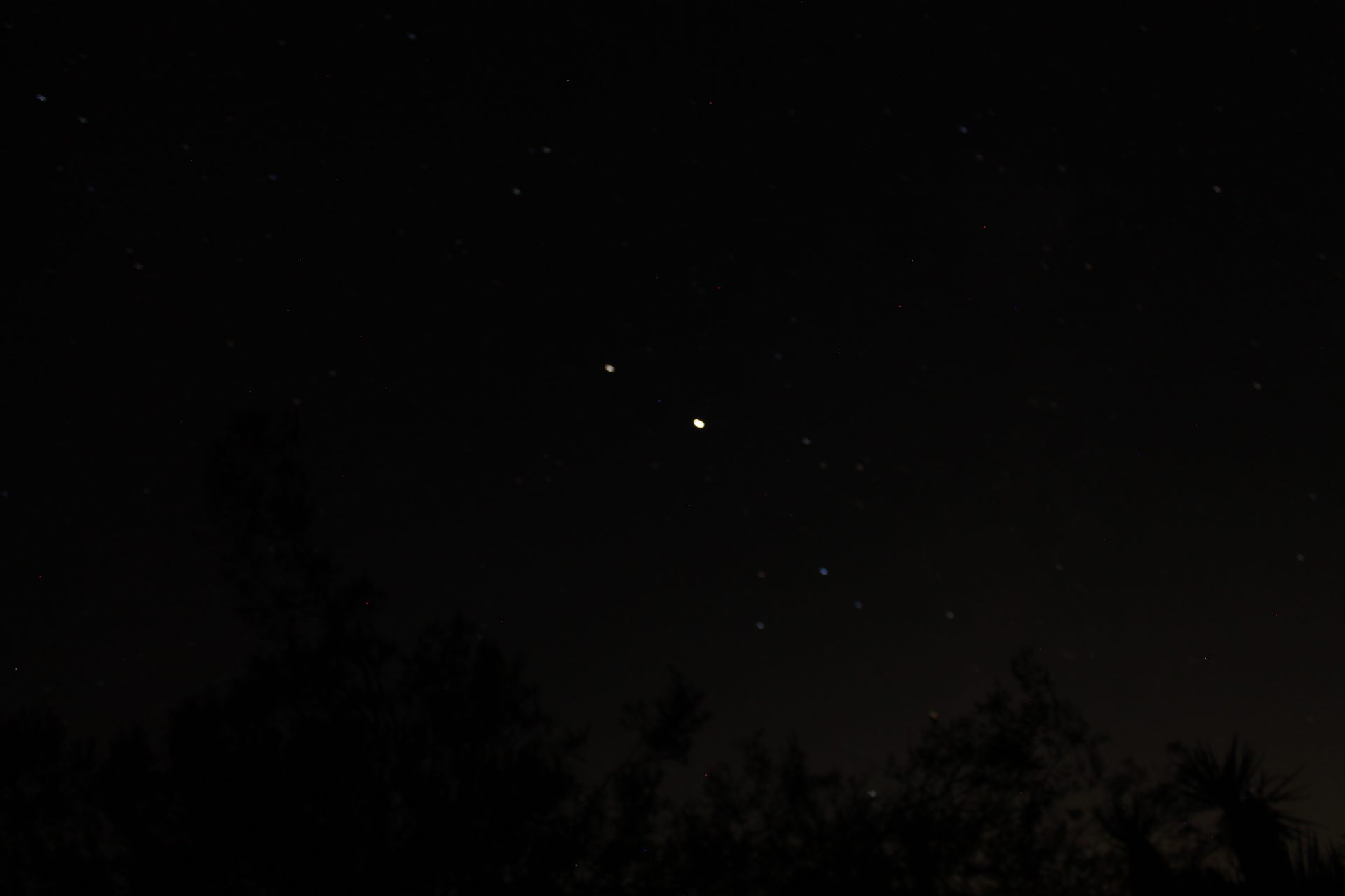 Joshua Tree photo