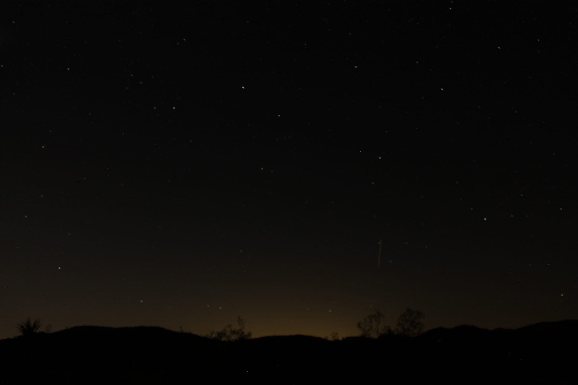 Joshua Tree photo