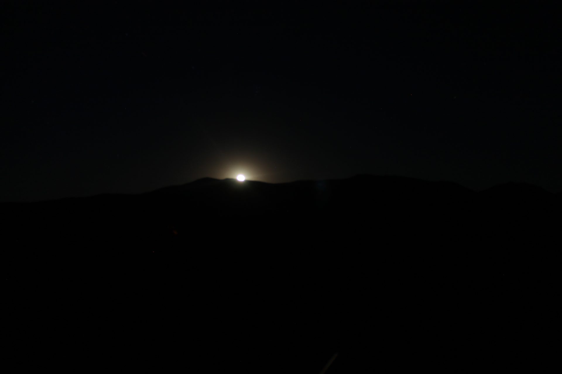 Joshua Tree photo