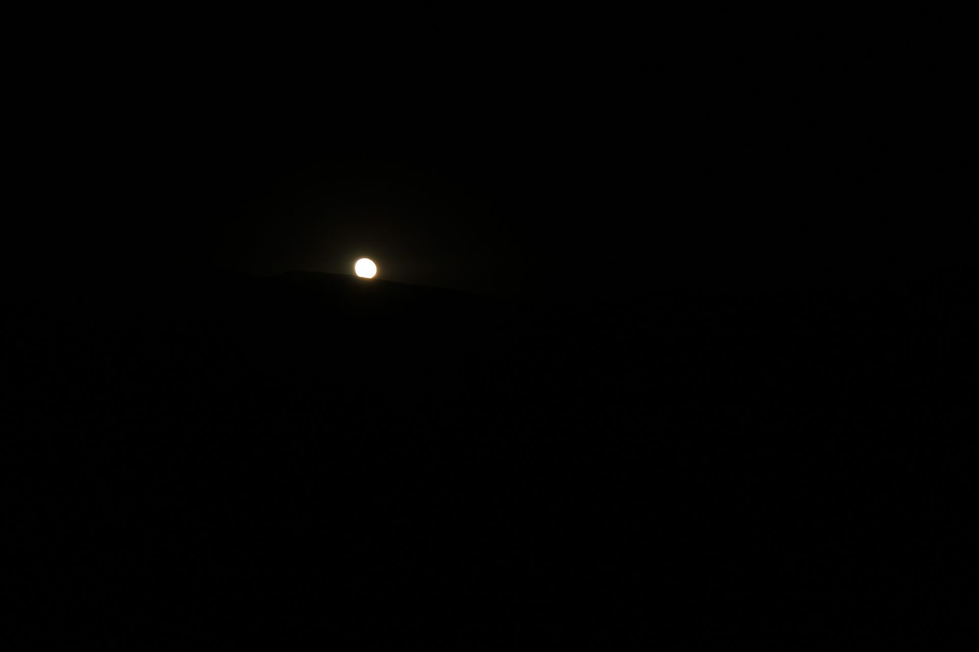 Joshua Tree photo