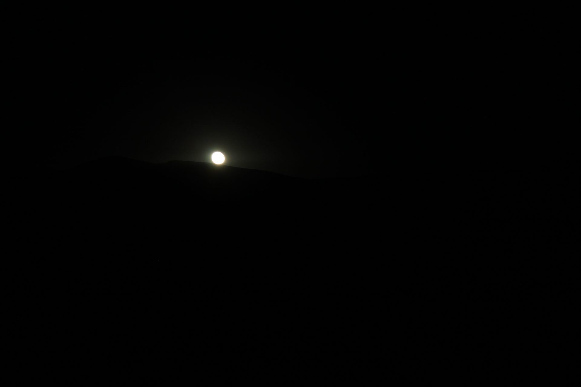 Joshua Tree photo