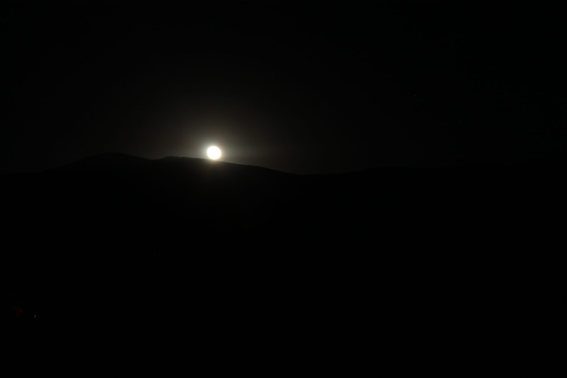 Joshua Tree photo