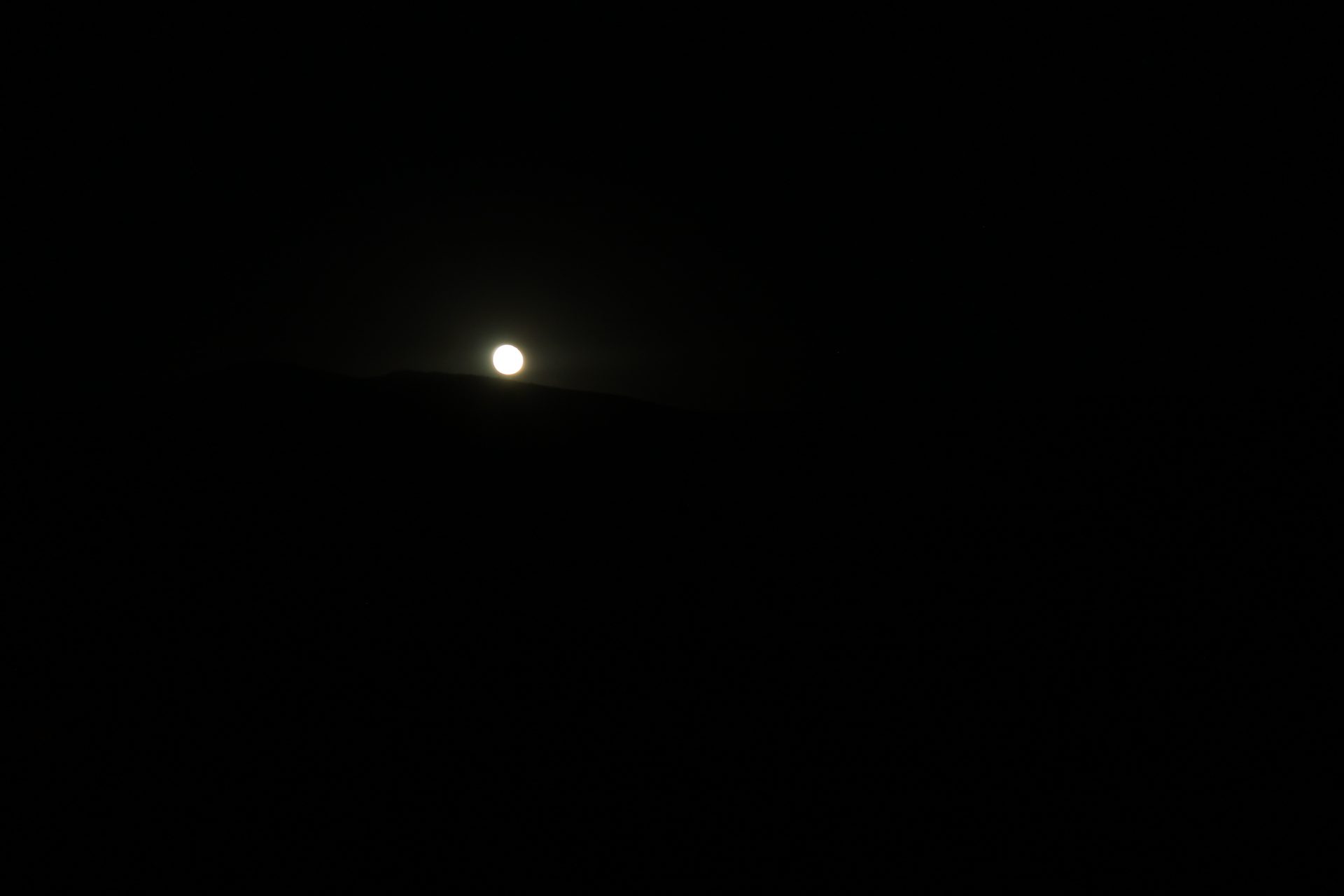 Joshua Tree photo