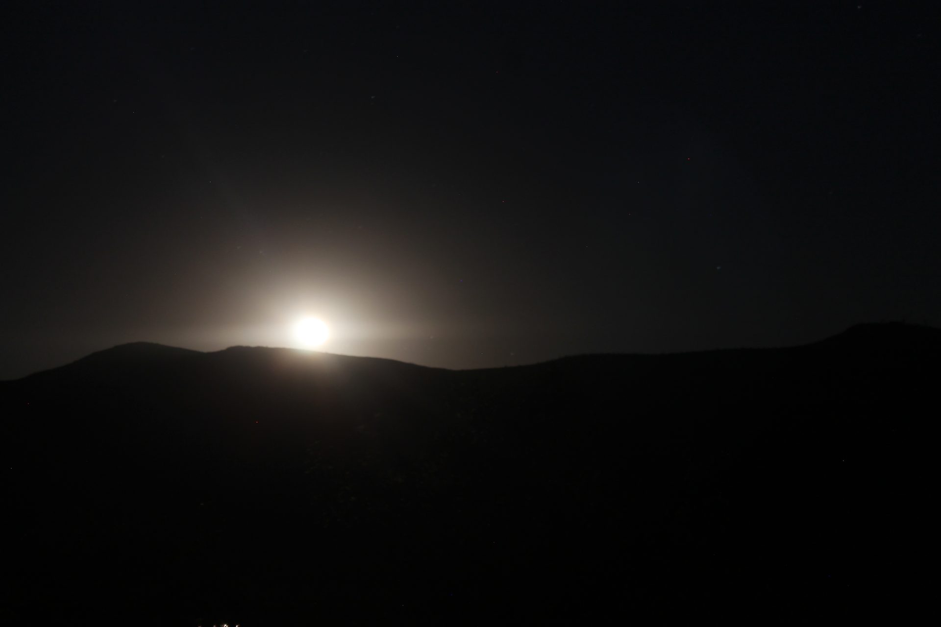 Joshua Tree photo