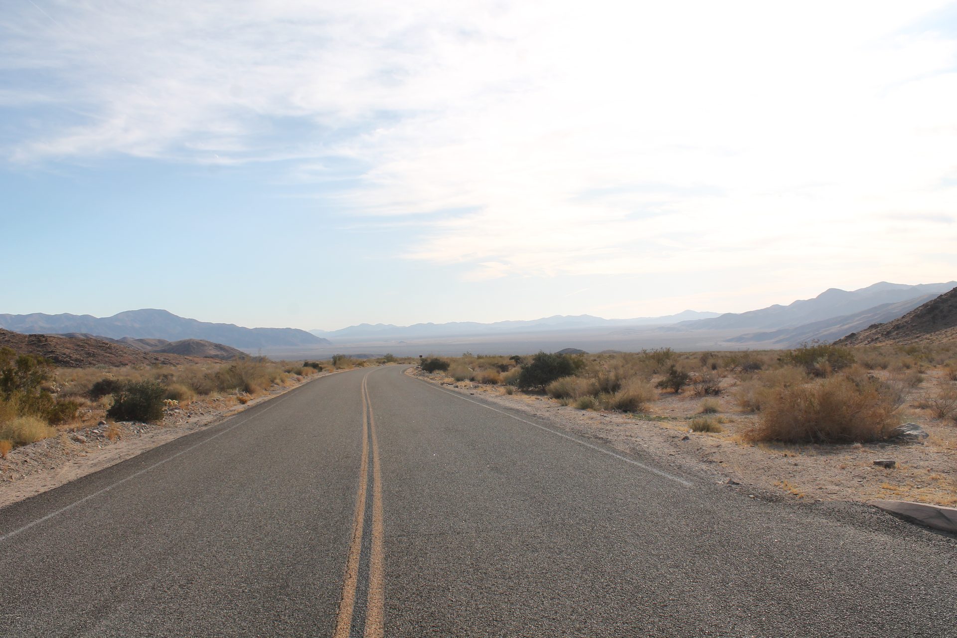 Joshua Tree photo