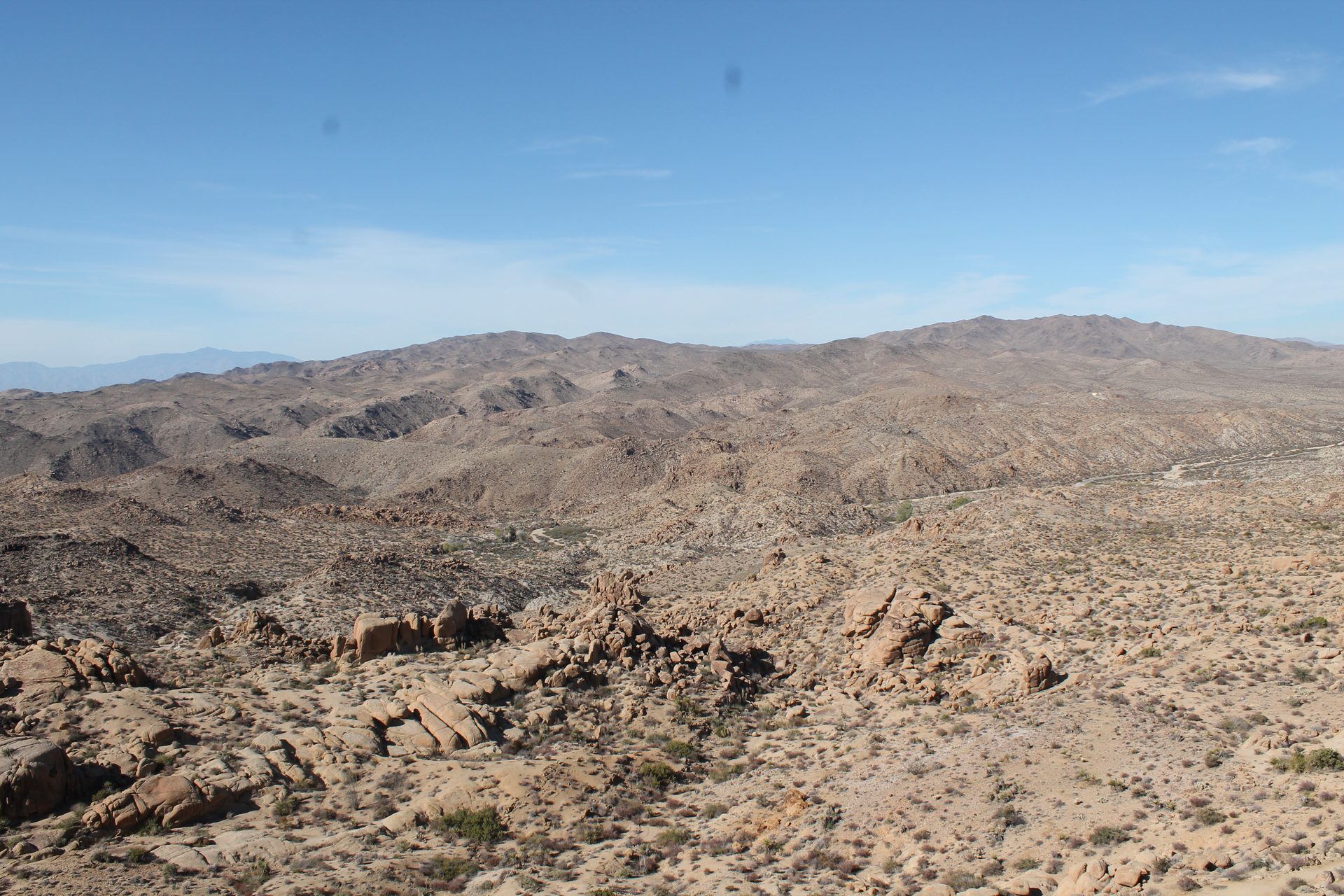 Joshua Tree photo