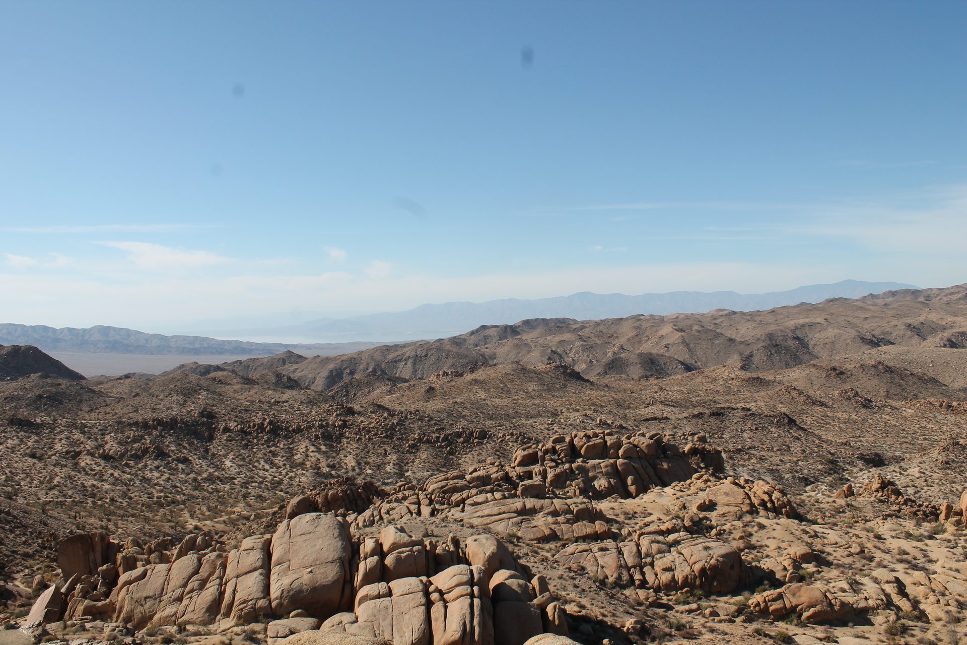 Joshua Tree photo
