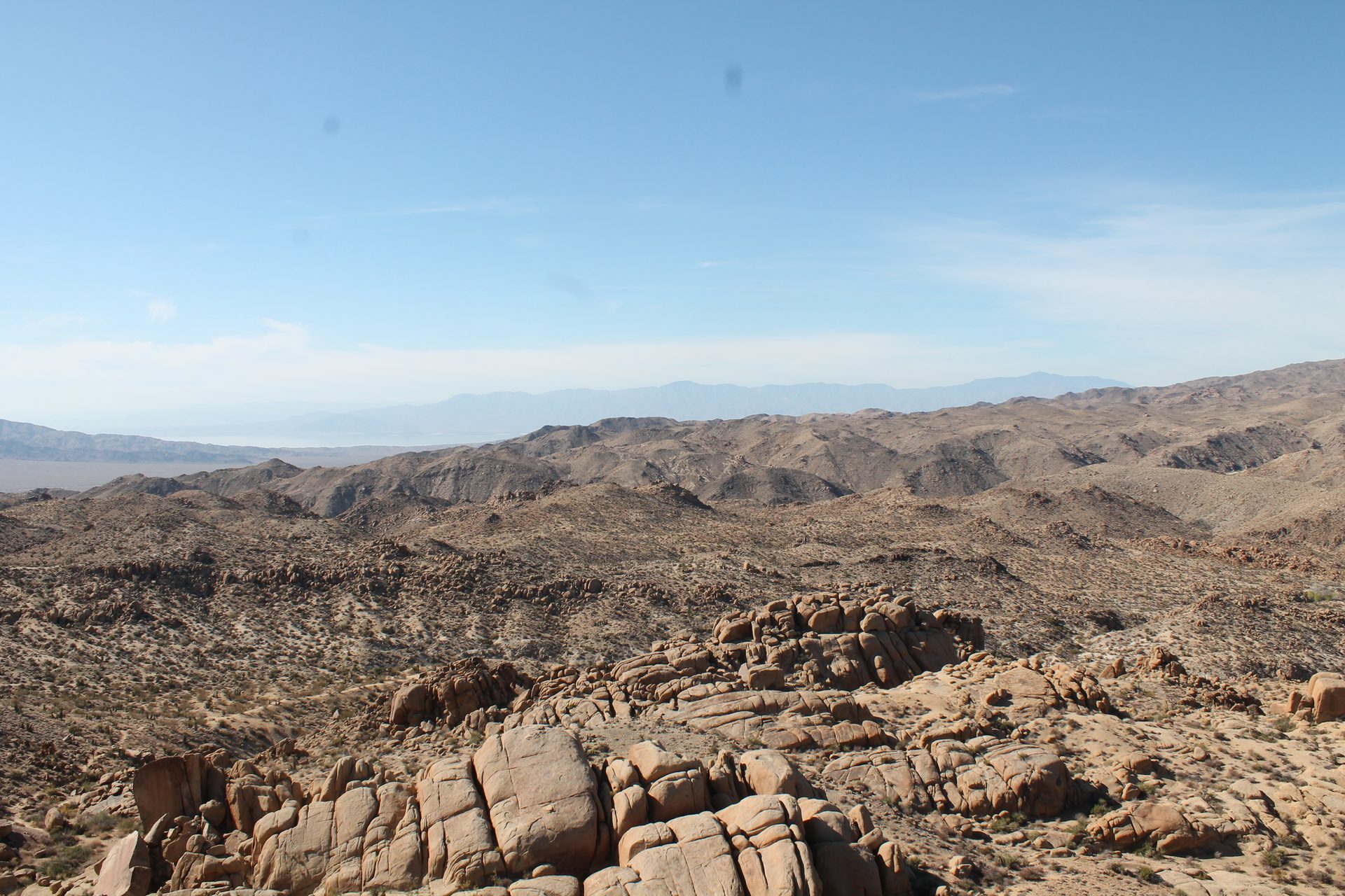 Joshua Tree photo