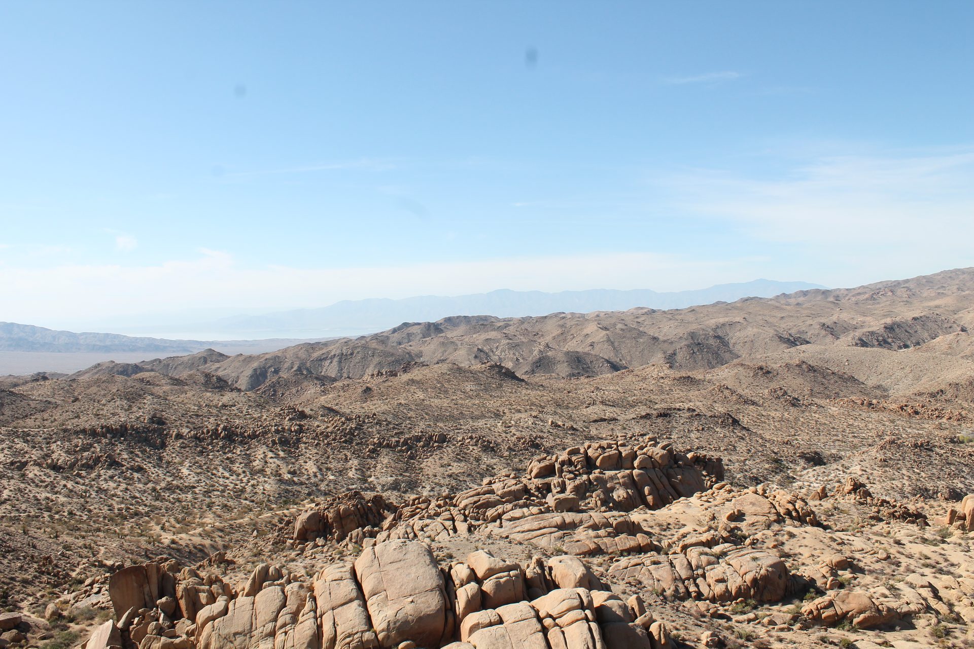 Joshua Tree photo