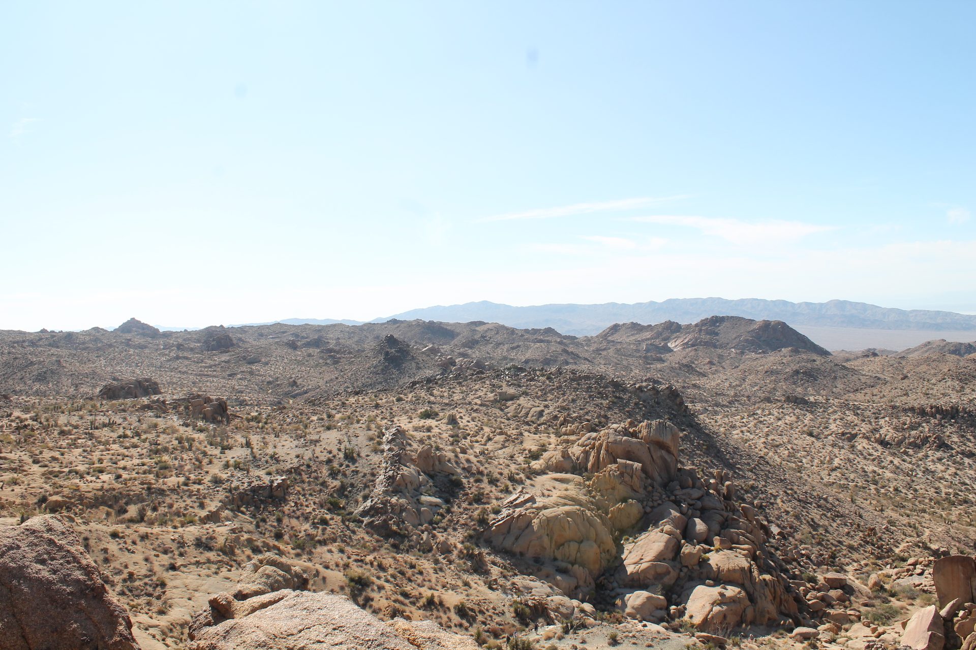 Joshua Tree photo