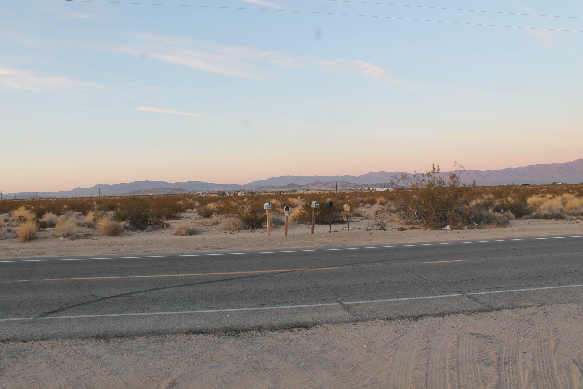 Joshua Tree photo