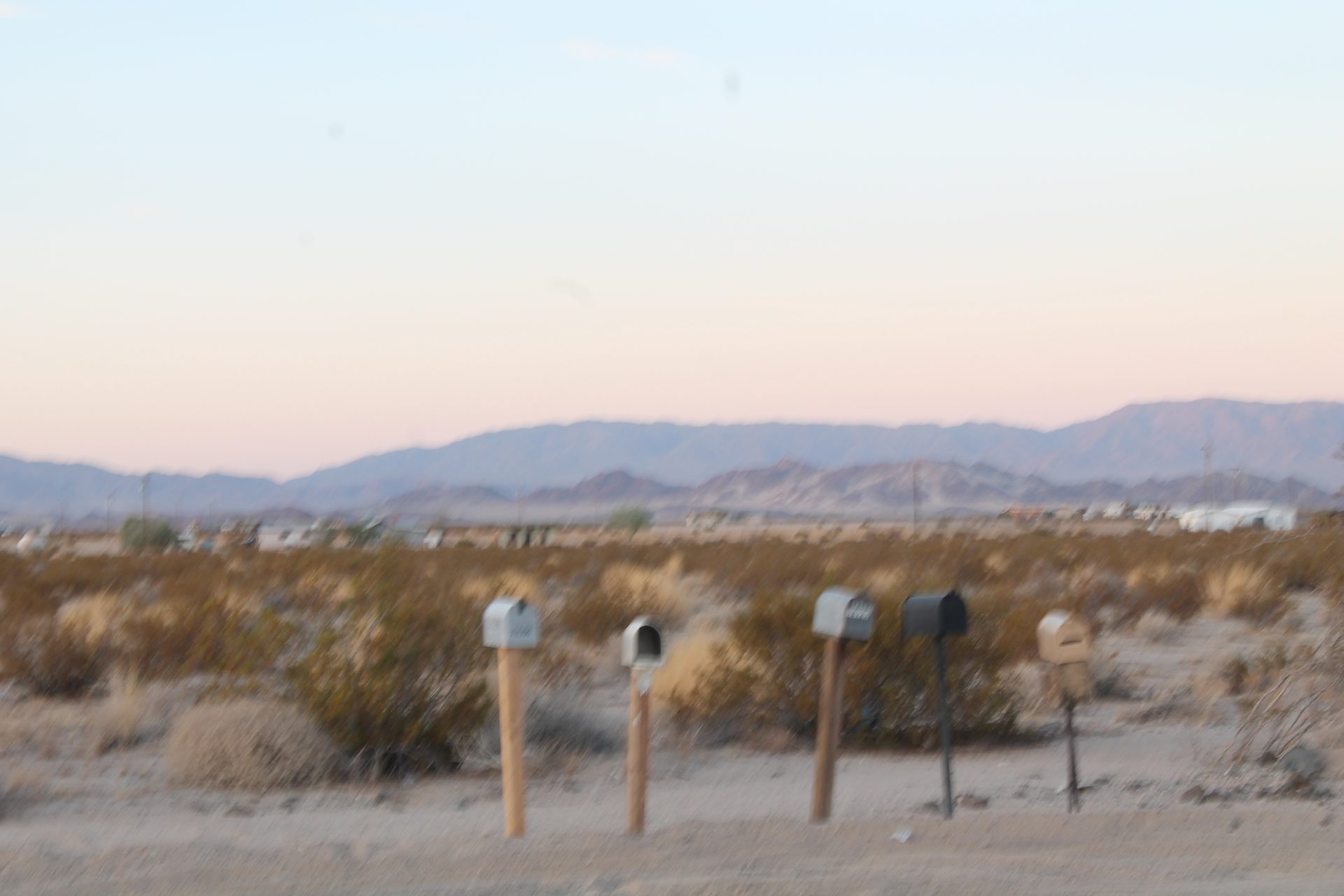 Joshua Tree photo