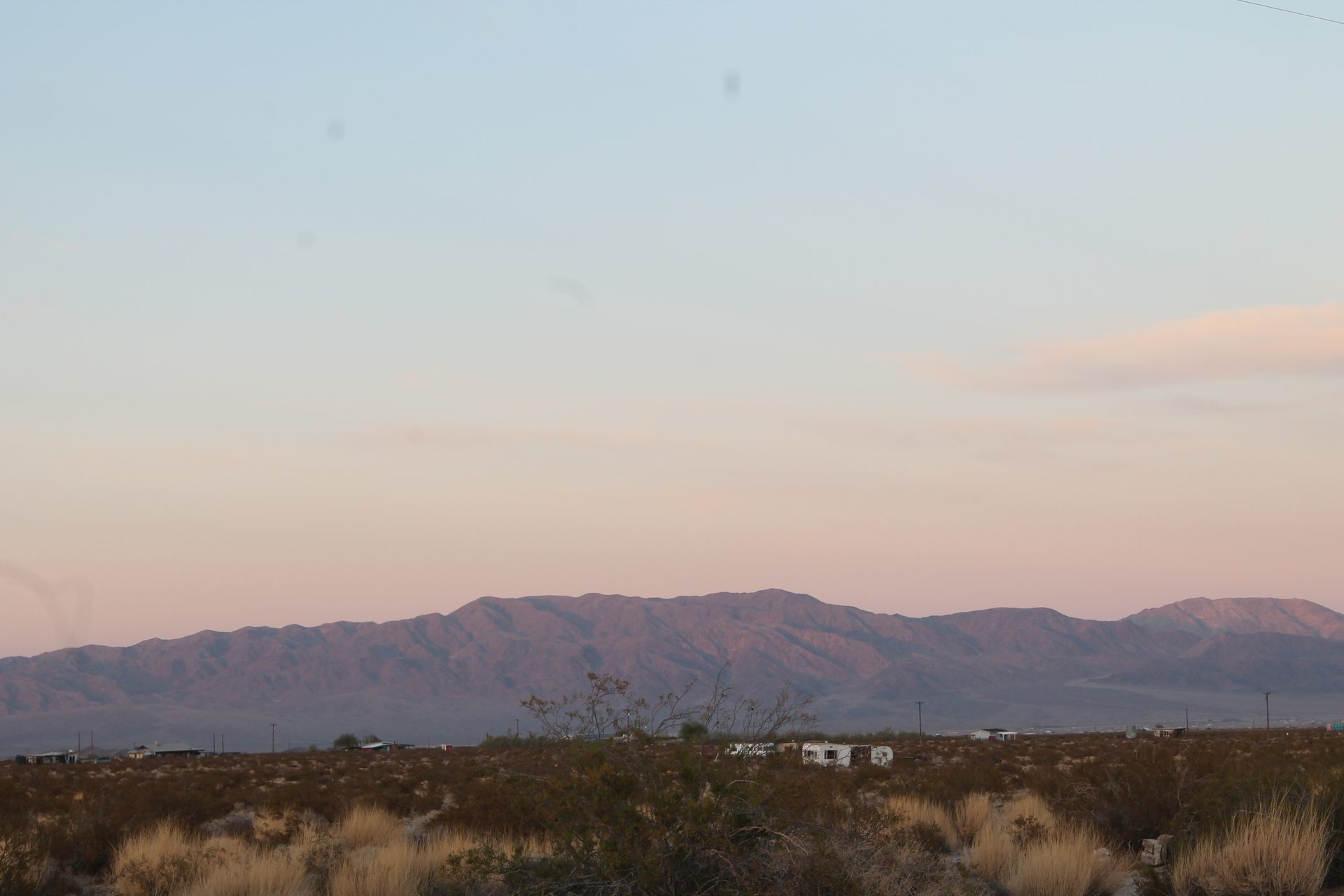 Joshua Tree photo