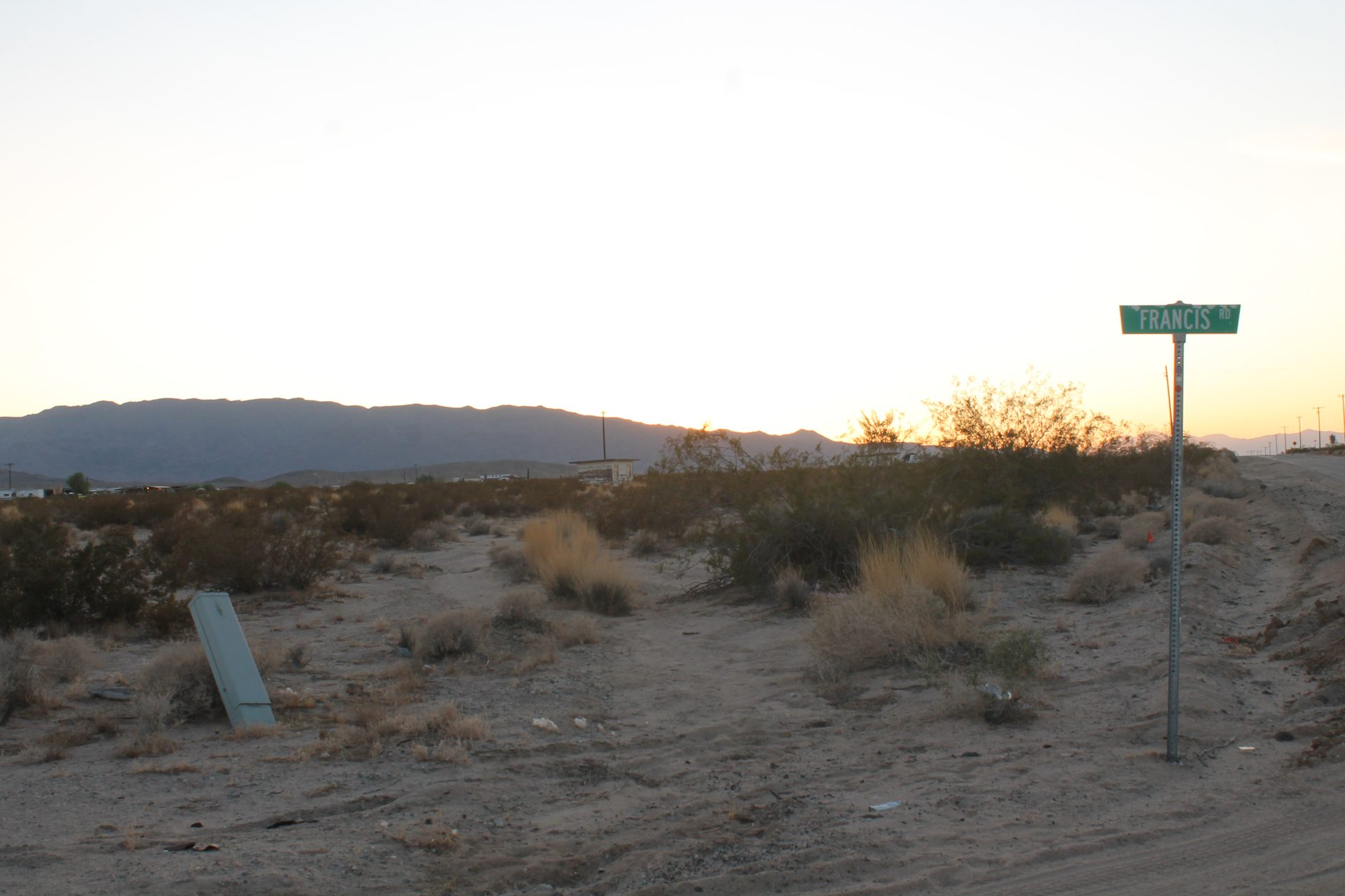 Joshua Tree photo