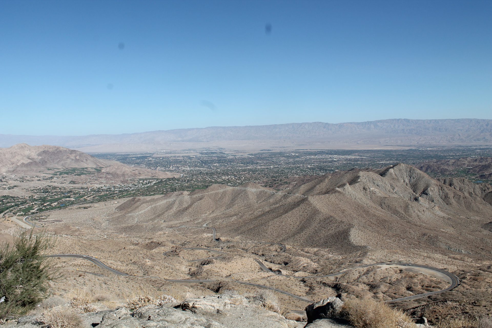 Joshua Tree photo