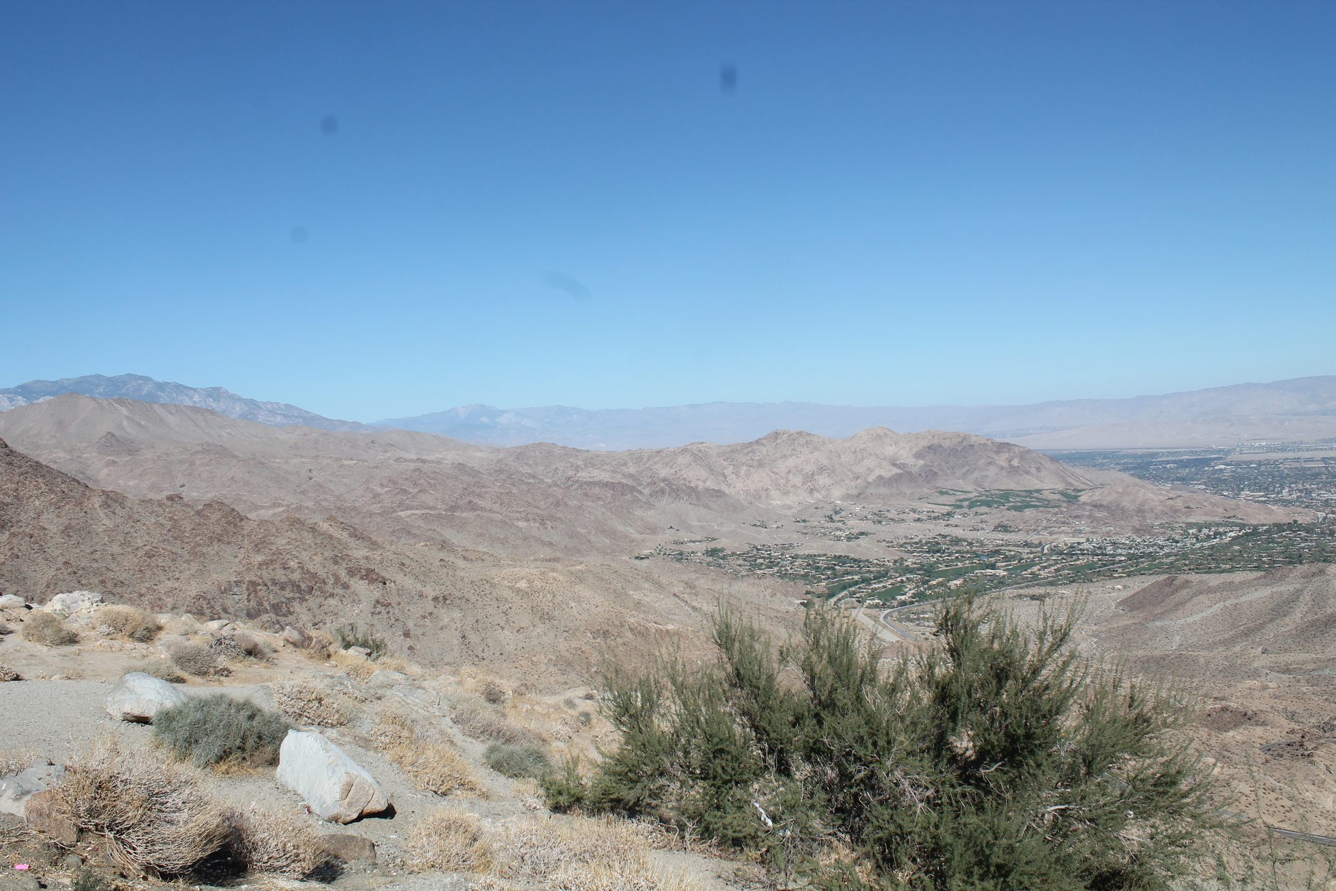 Joshua Tree photo