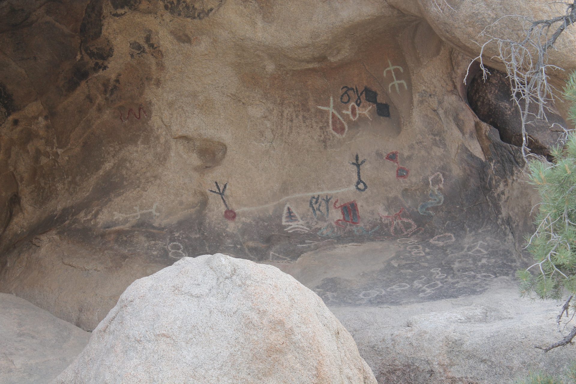 Joshua Tree photo
