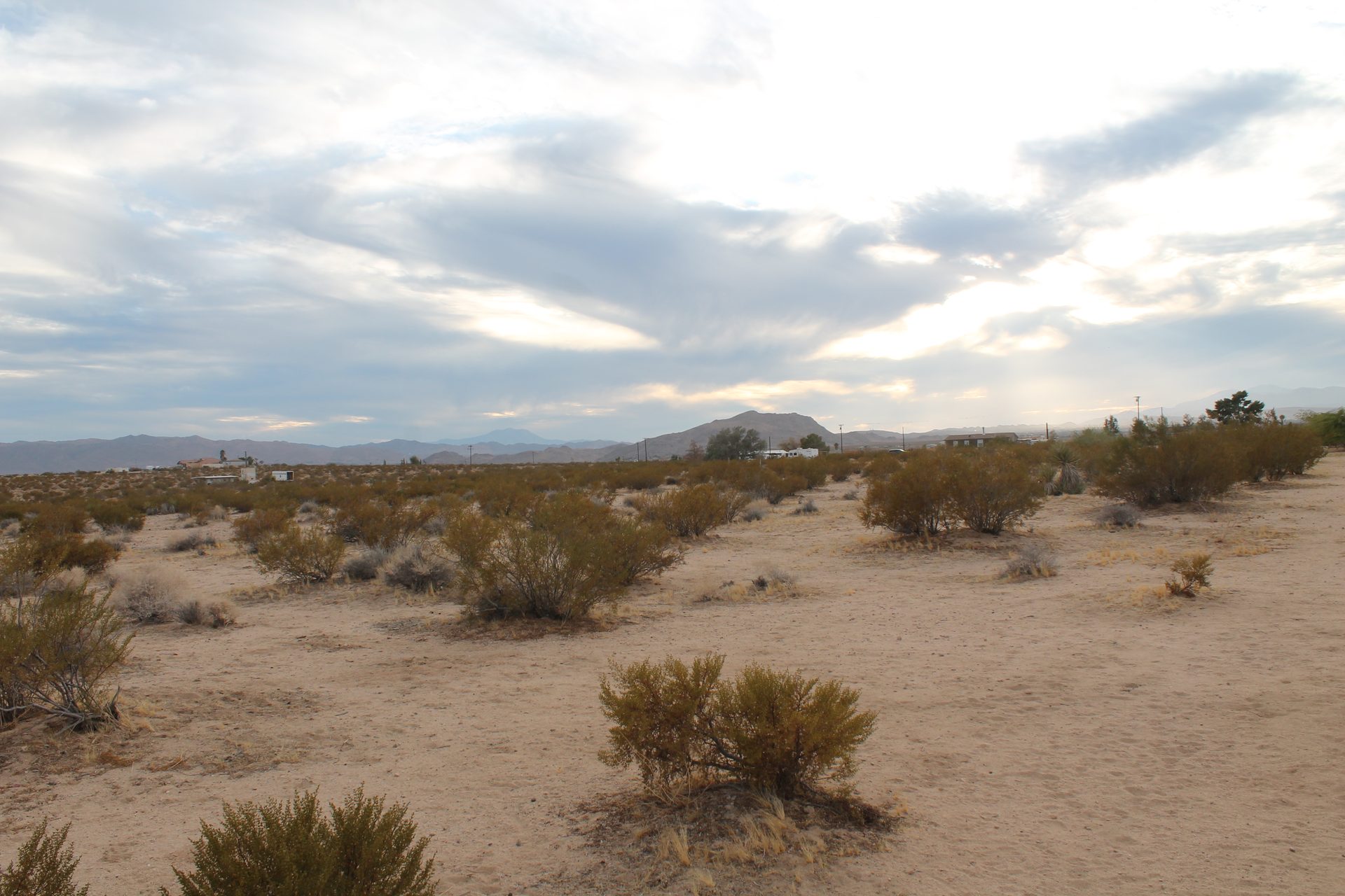 Joshua Tree photo