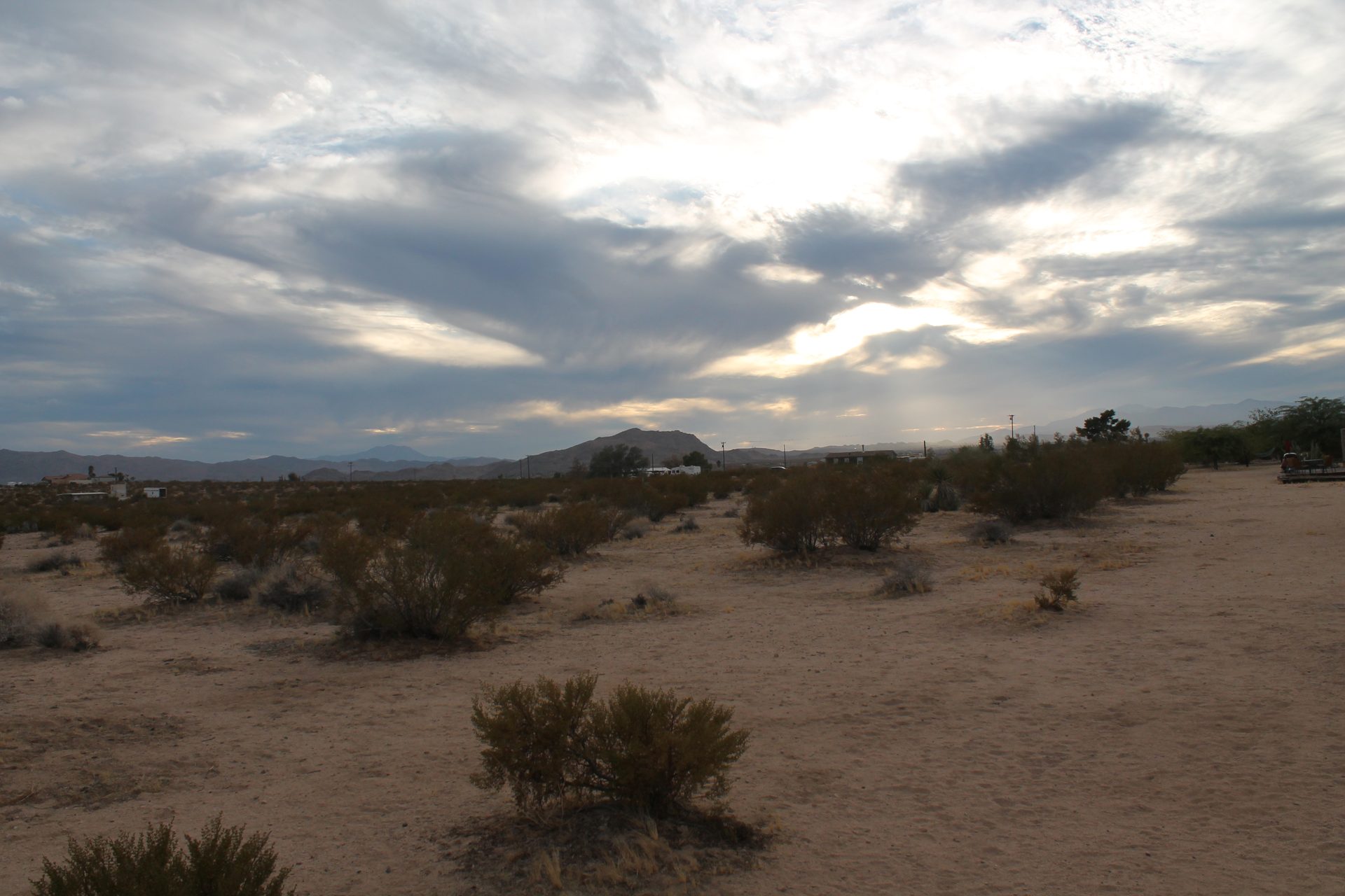 Joshua Tree photo