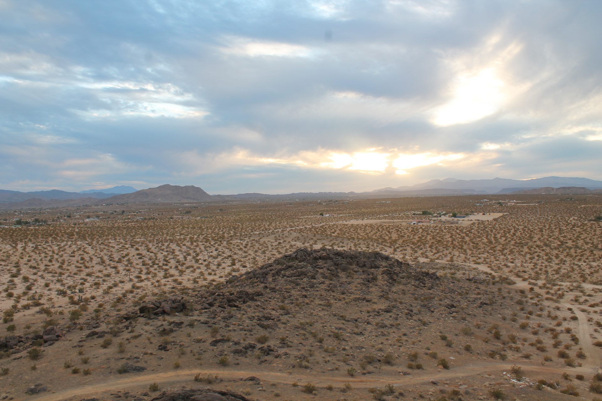 Joshua Tree photo