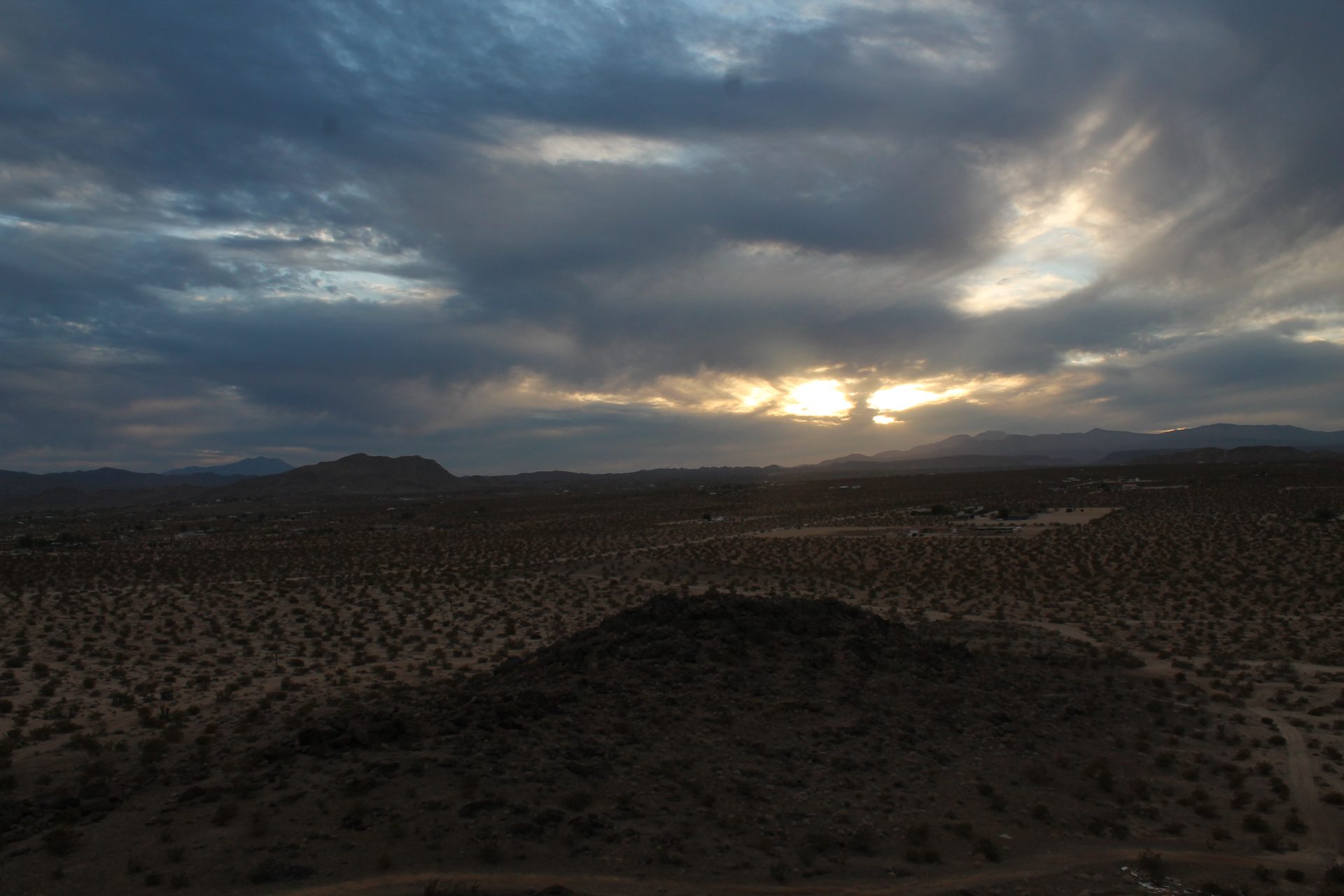 Joshua Tree photo