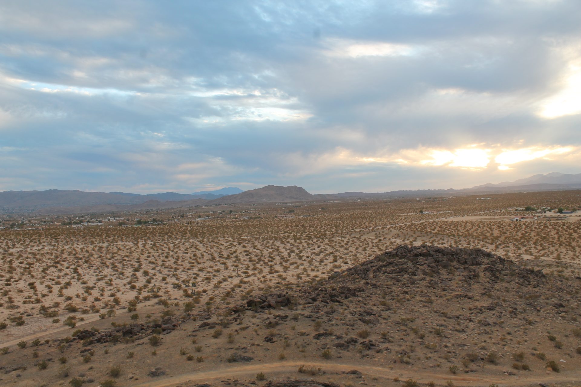 Joshua Tree photo