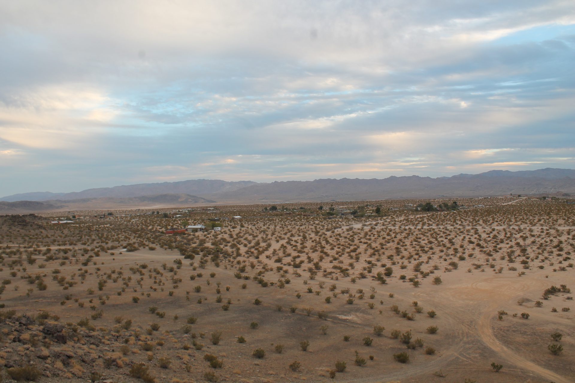 Joshua Tree photo