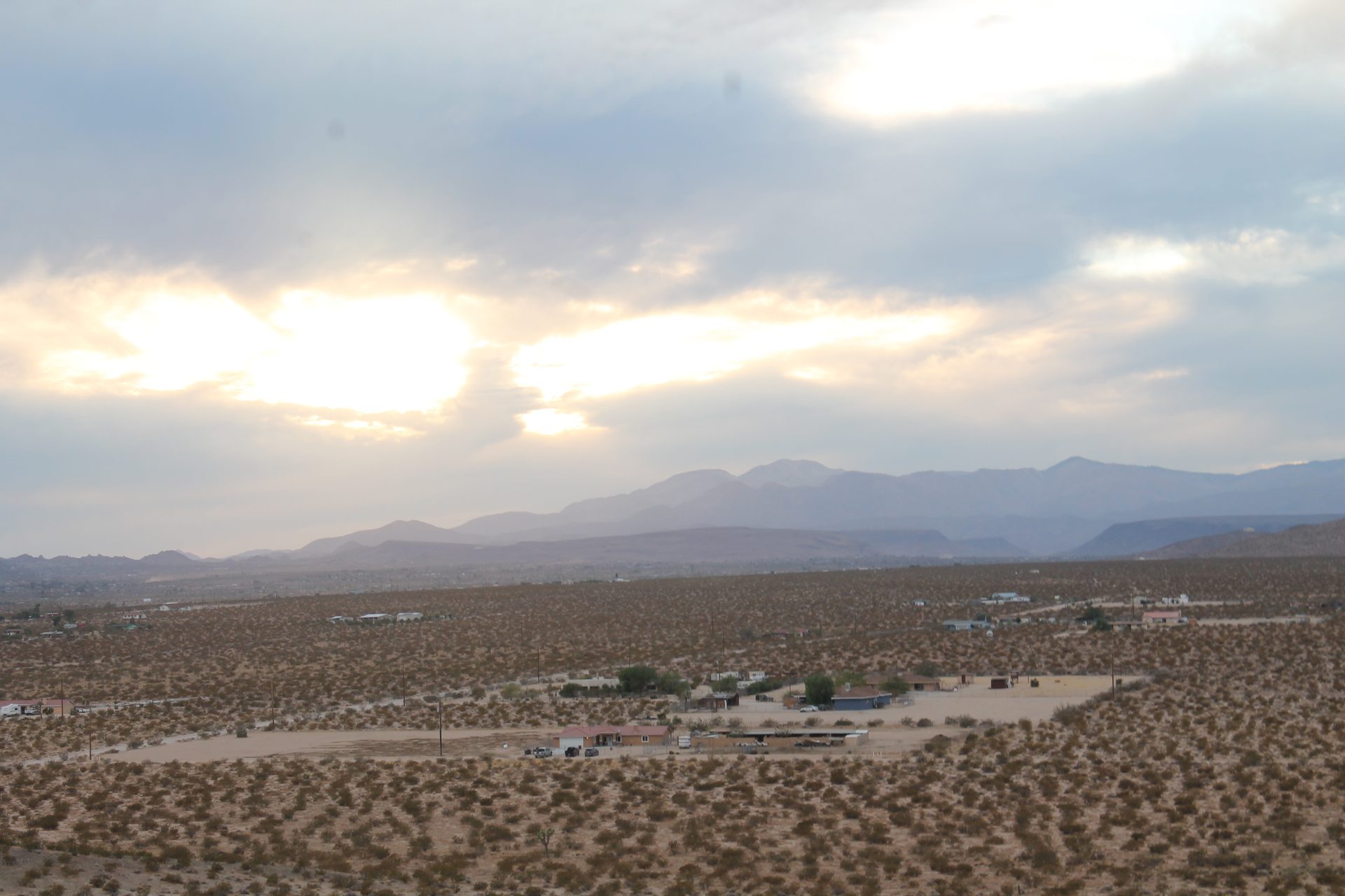 Joshua Tree photo
