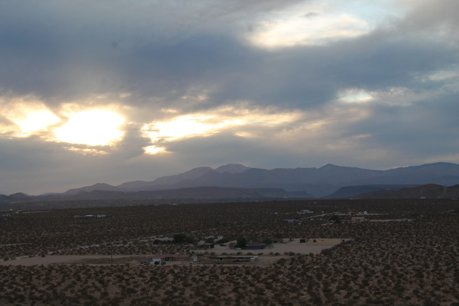 Joshua Tree photo