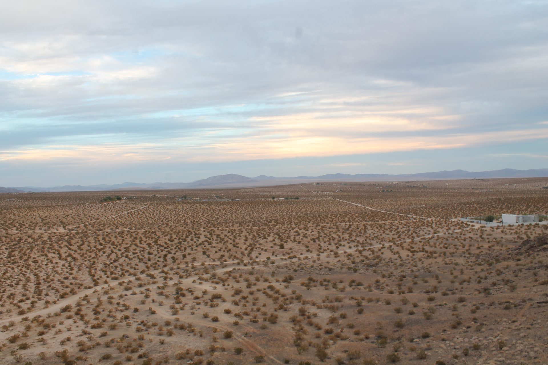 Joshua Tree photo