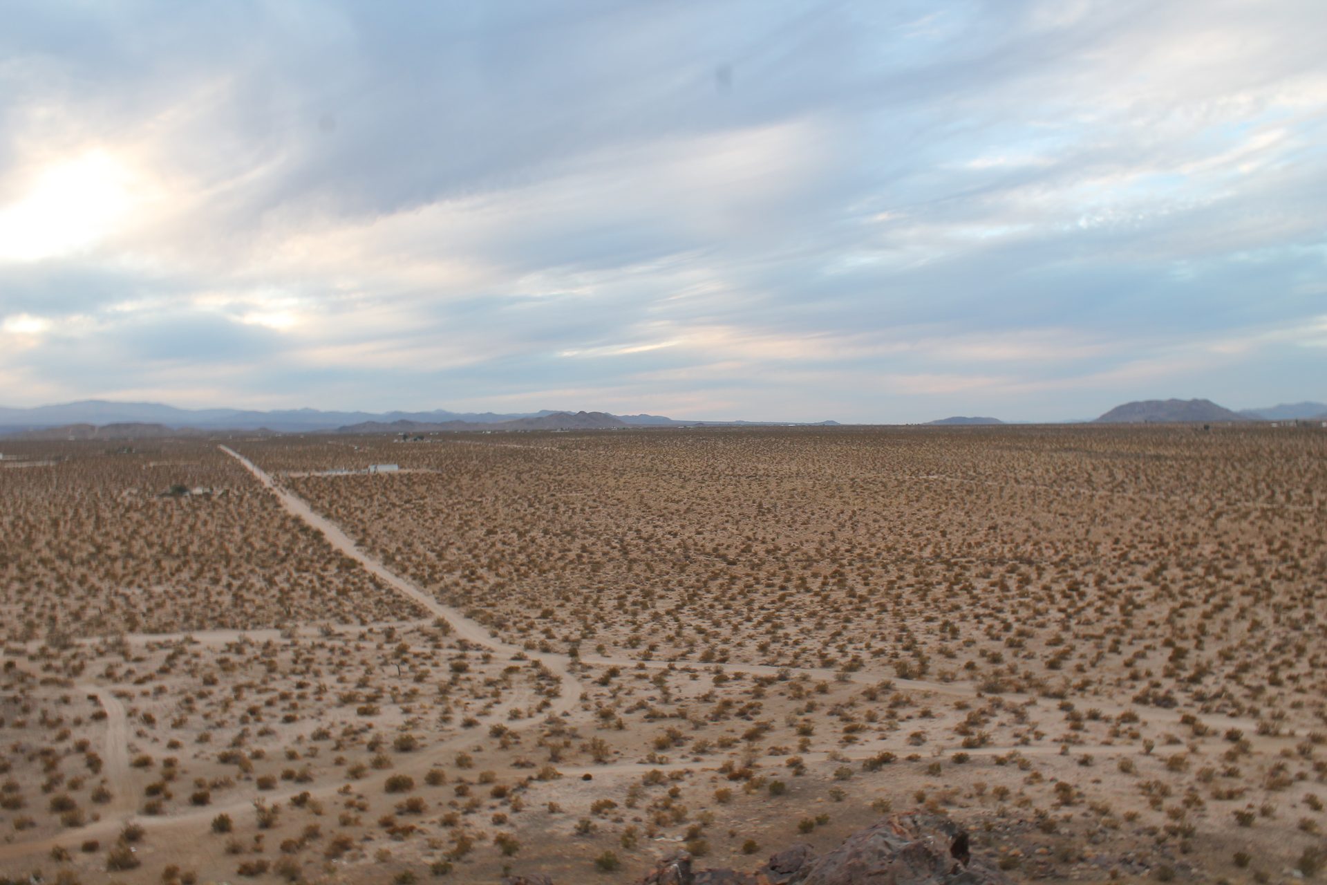 Joshua Tree photo