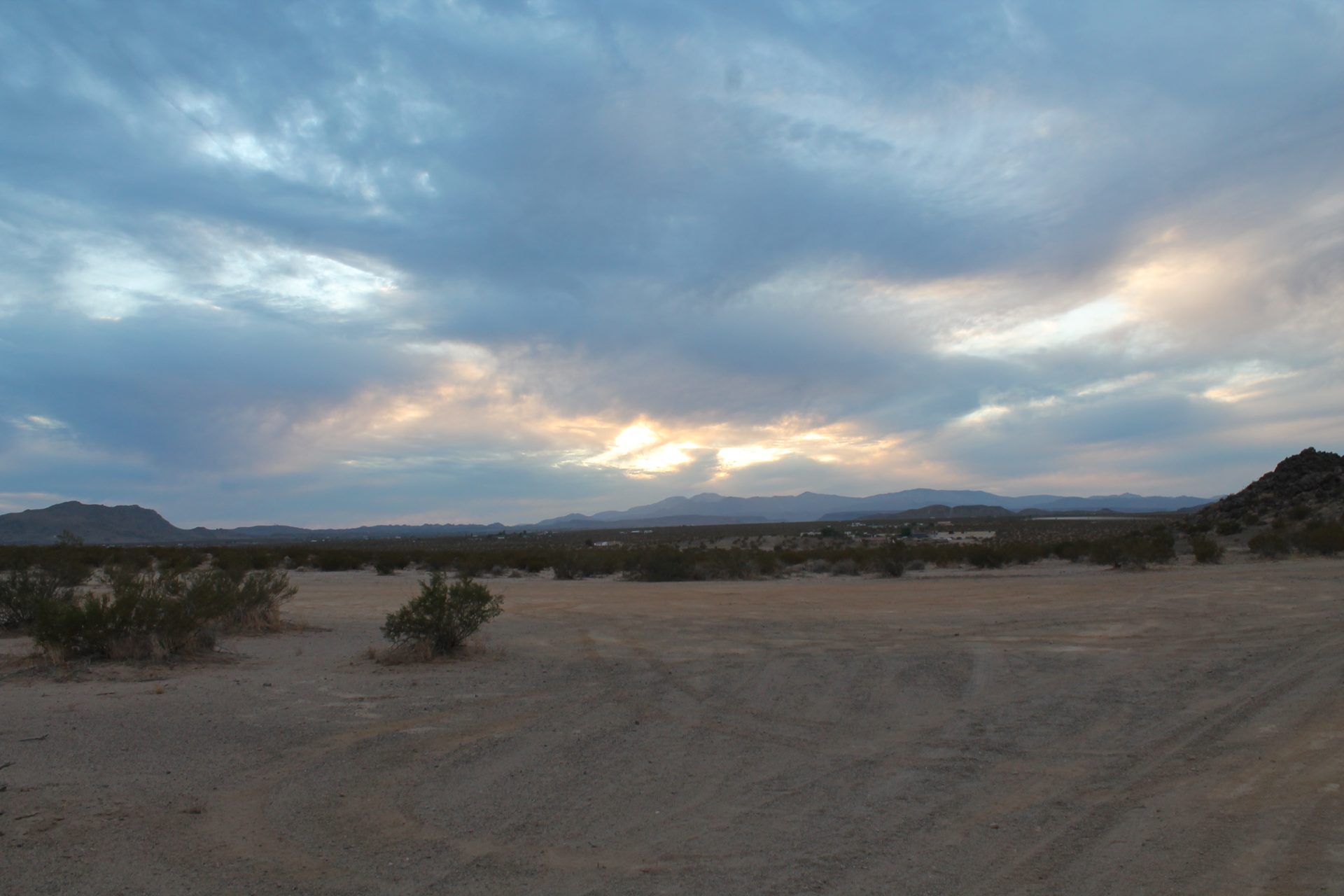 Joshua Tree photo
