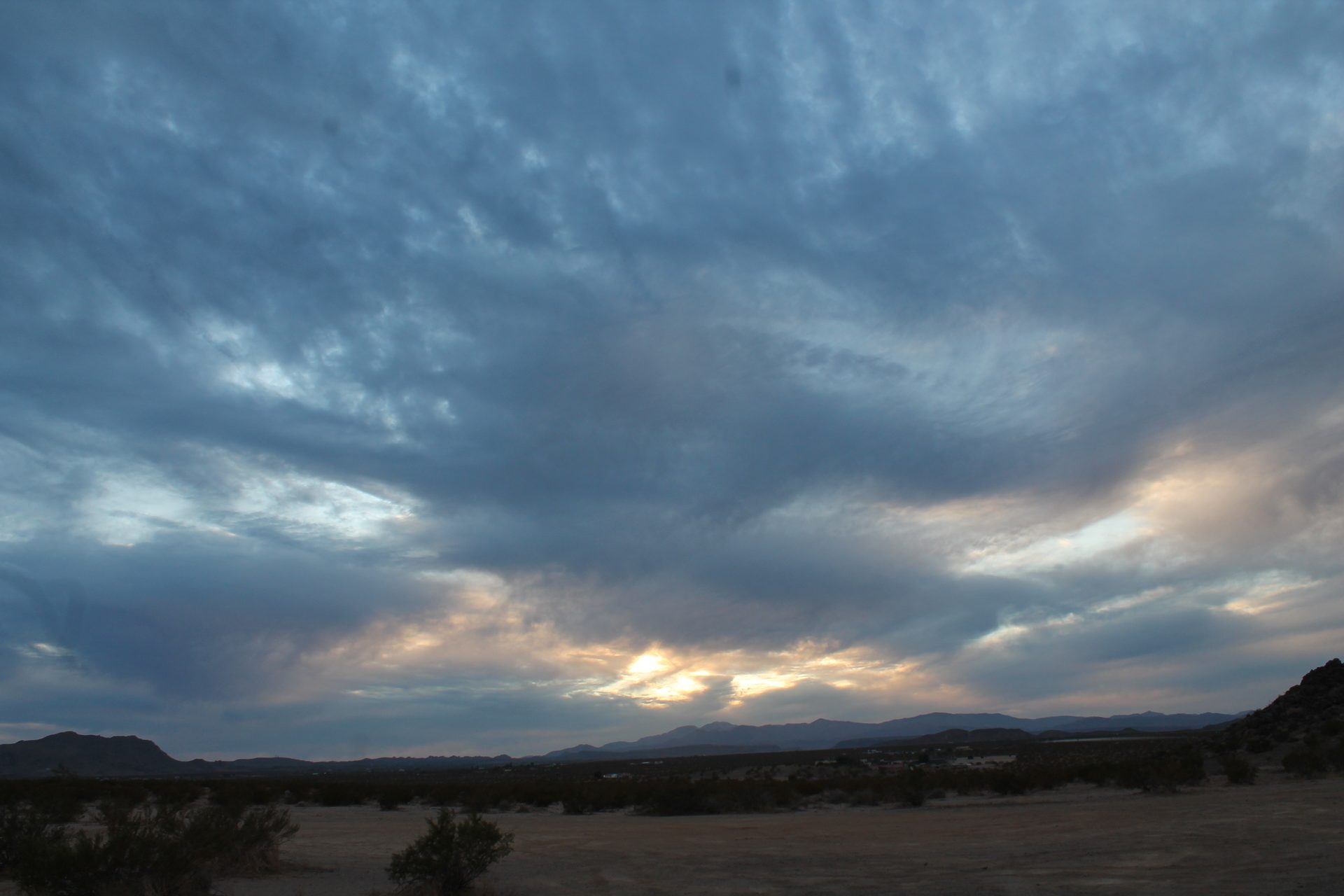 Joshua Tree photo