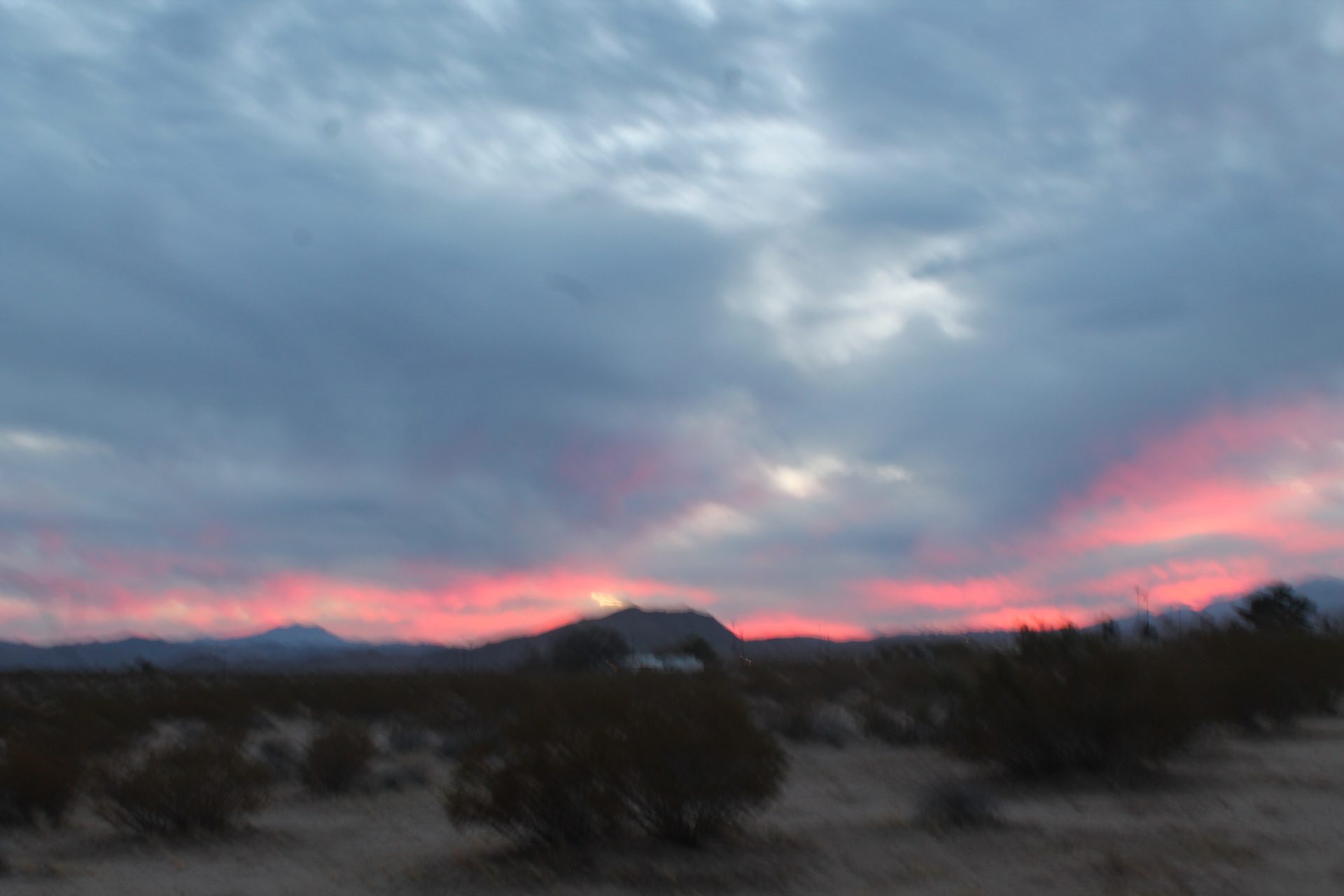 Joshua Tree photo