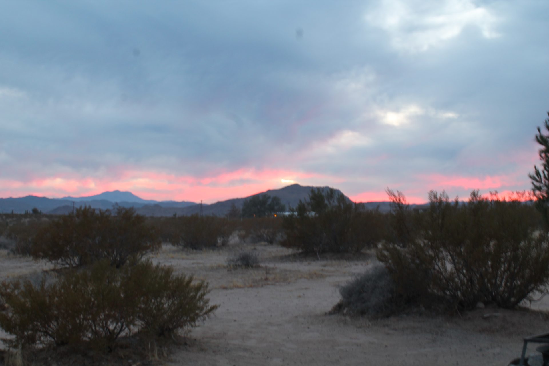 Joshua Tree photo