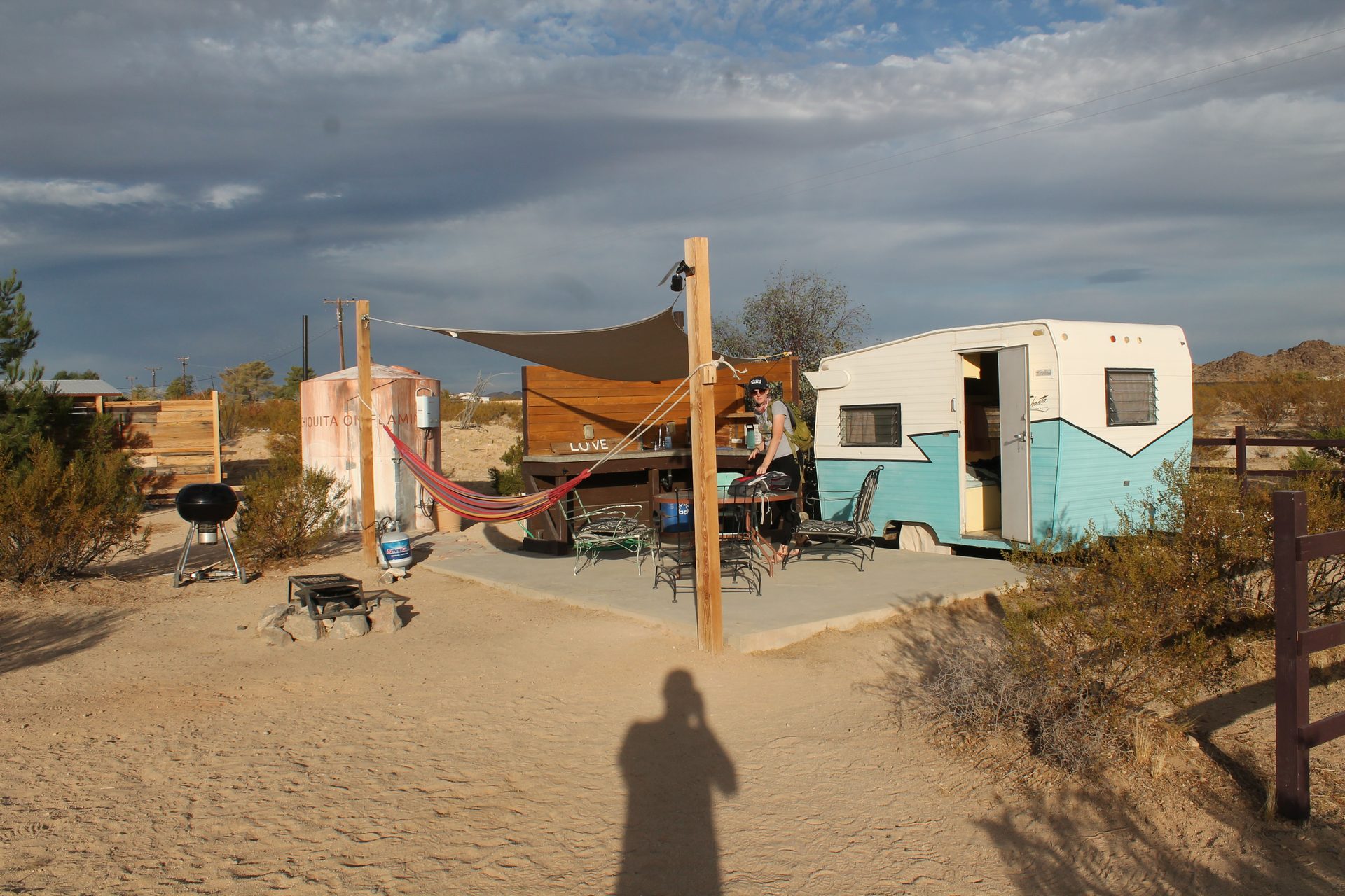 Joshua Tree photo