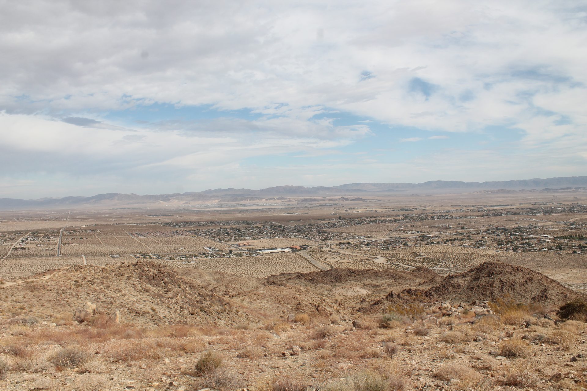 Joshua Tree photo