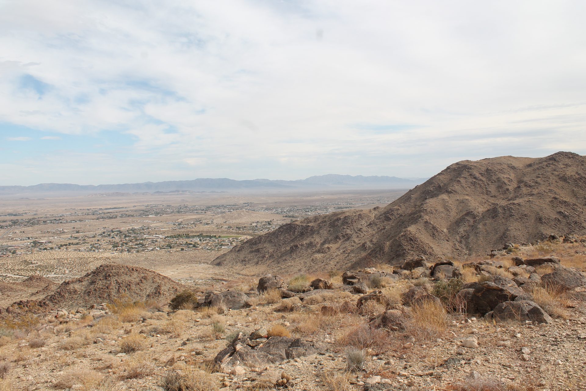 Joshua Tree photo