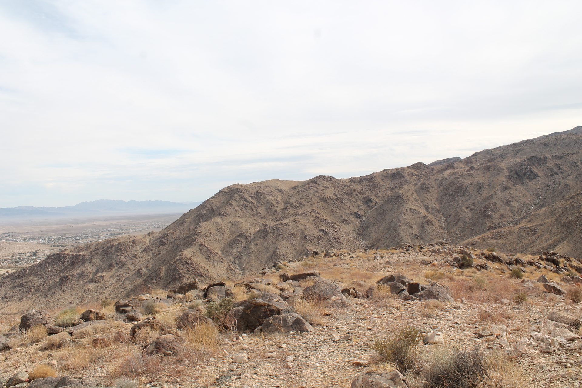 Joshua Tree photo
