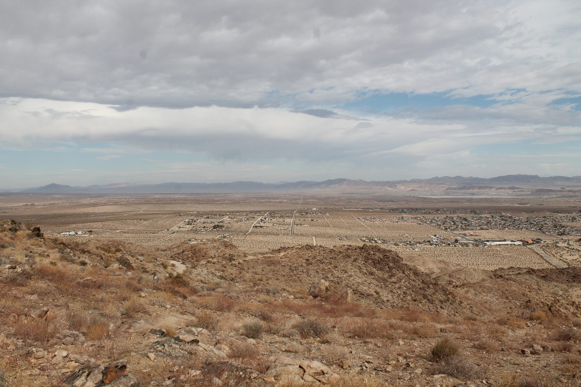 Joshua Tree photo