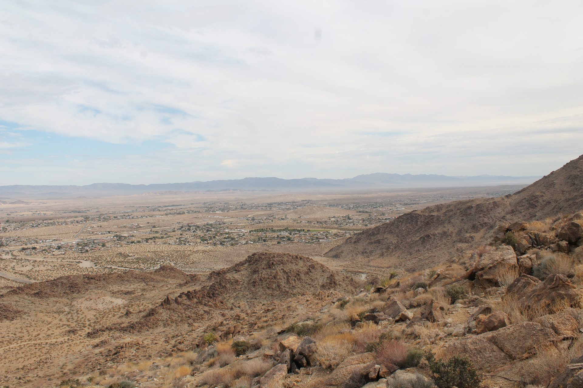Joshua Tree photo