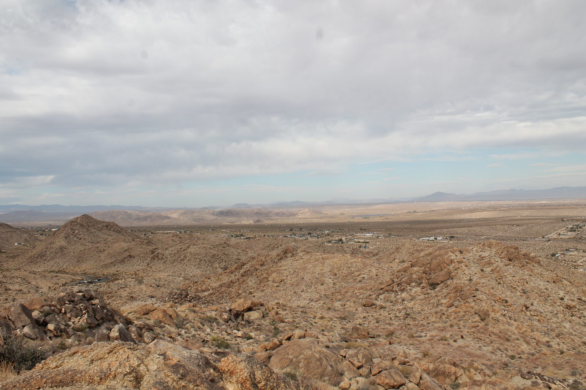 Joshua Tree photo