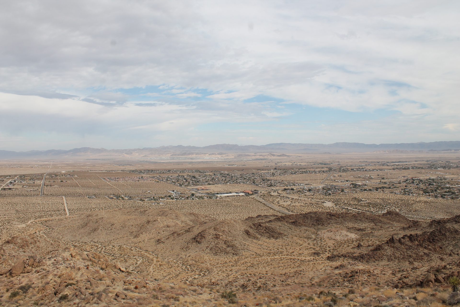 Joshua Tree photo