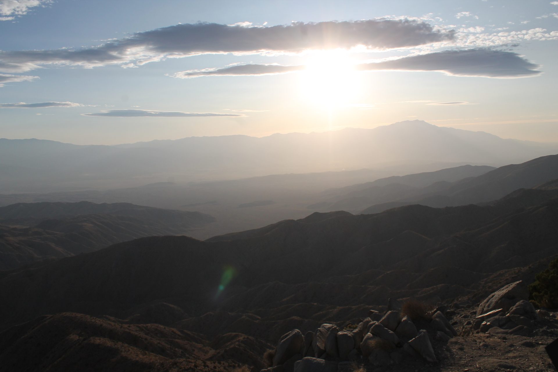 Joshua Tree photo