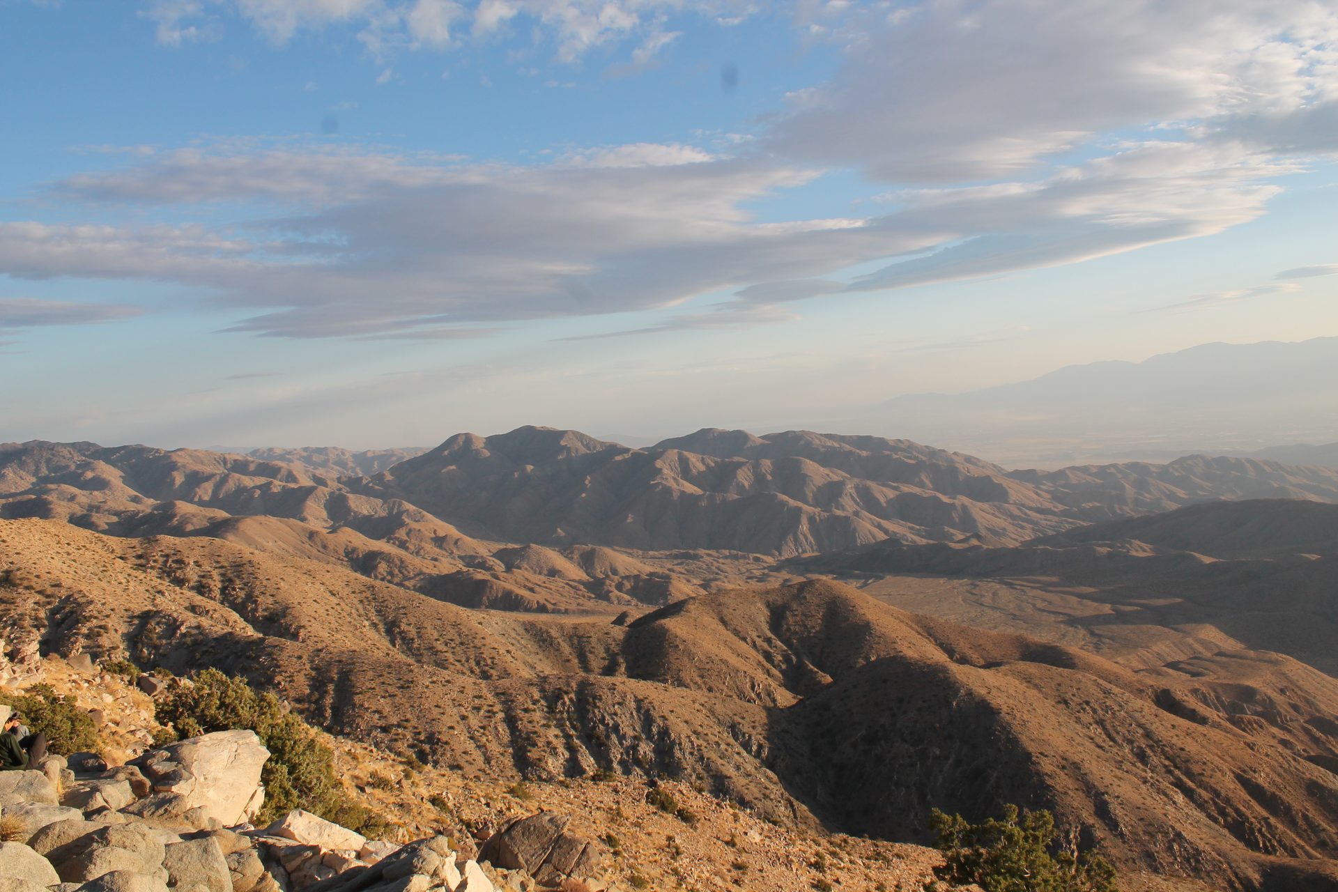 Joshua Tree photo