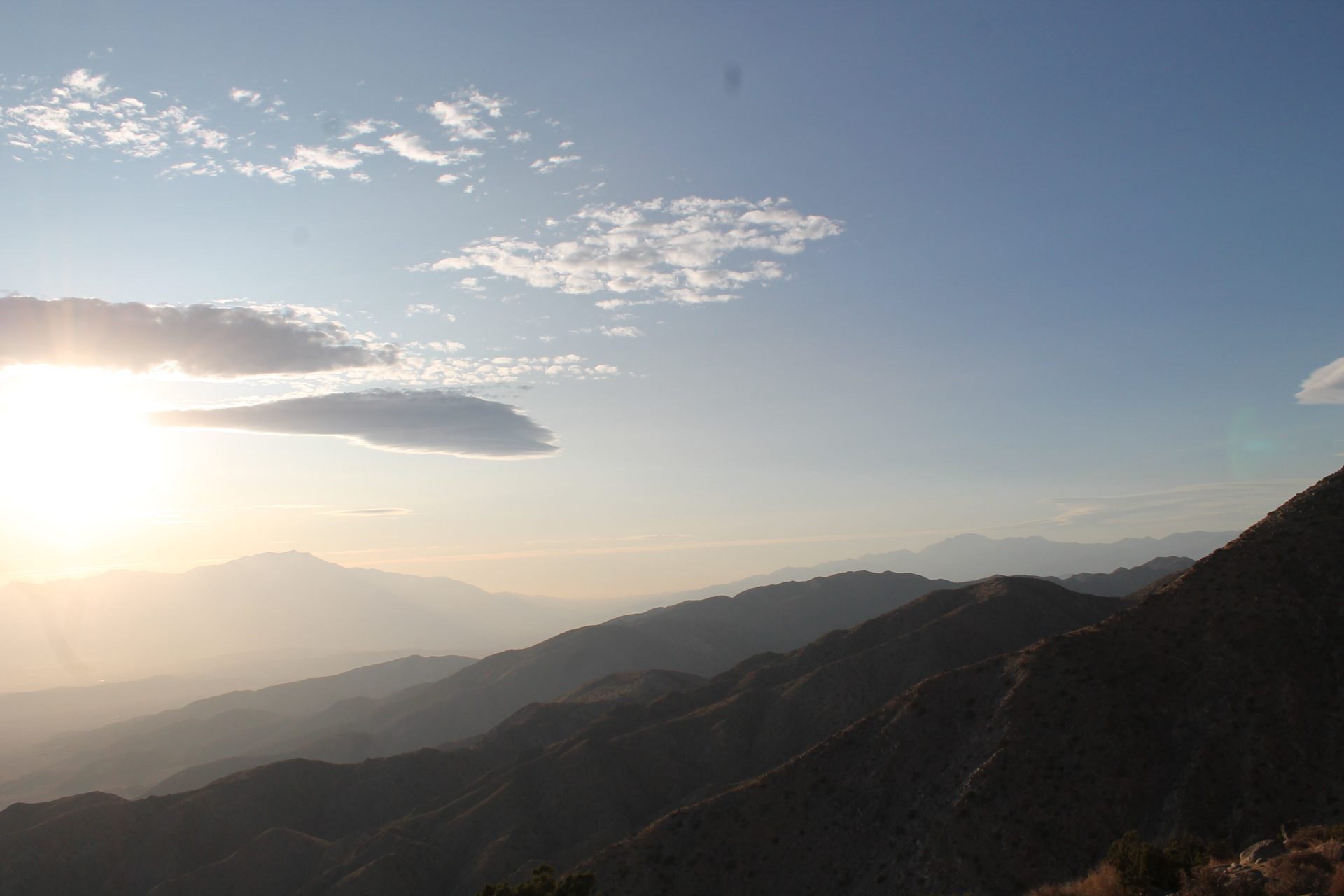Joshua Tree photo