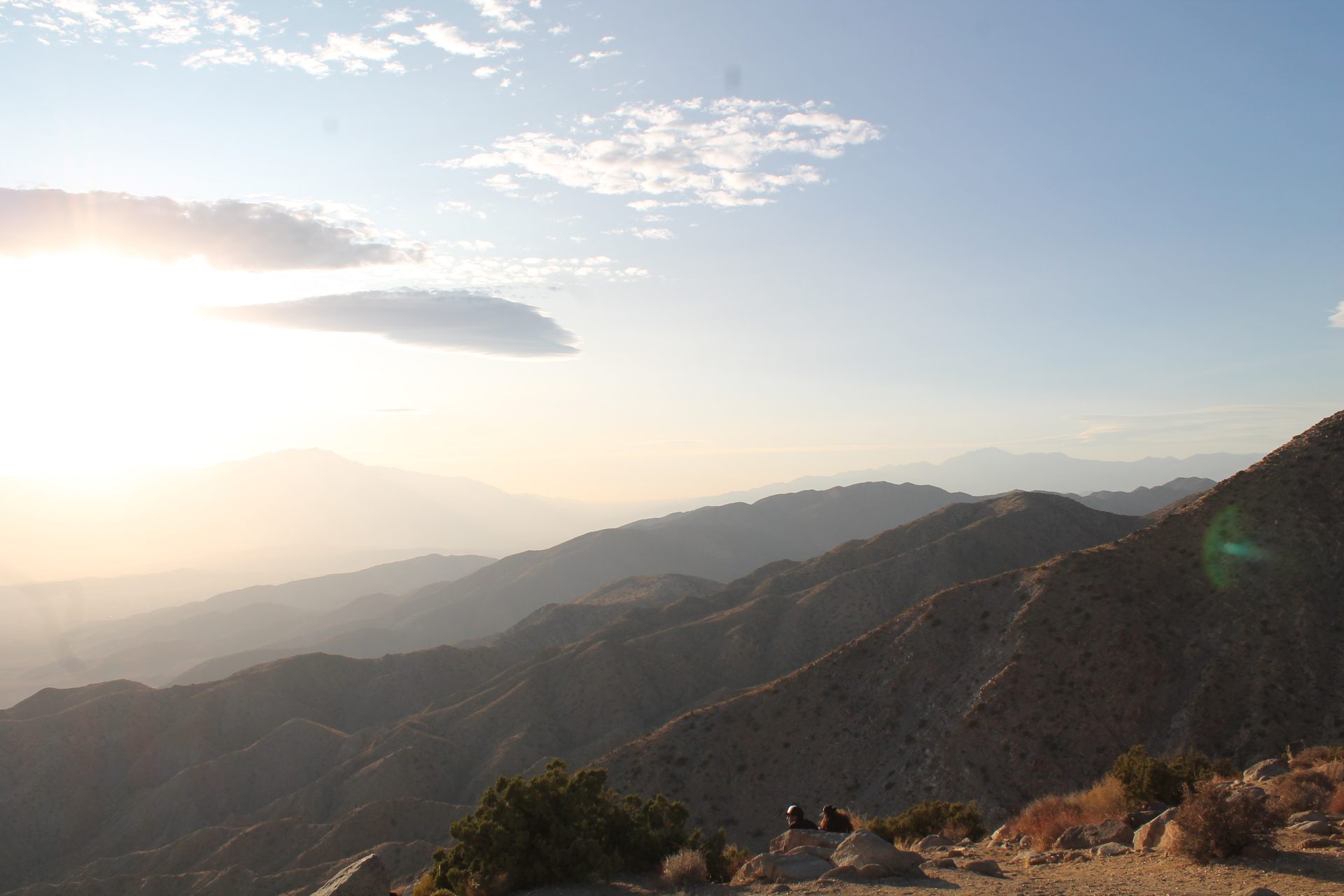 Joshua Tree photo