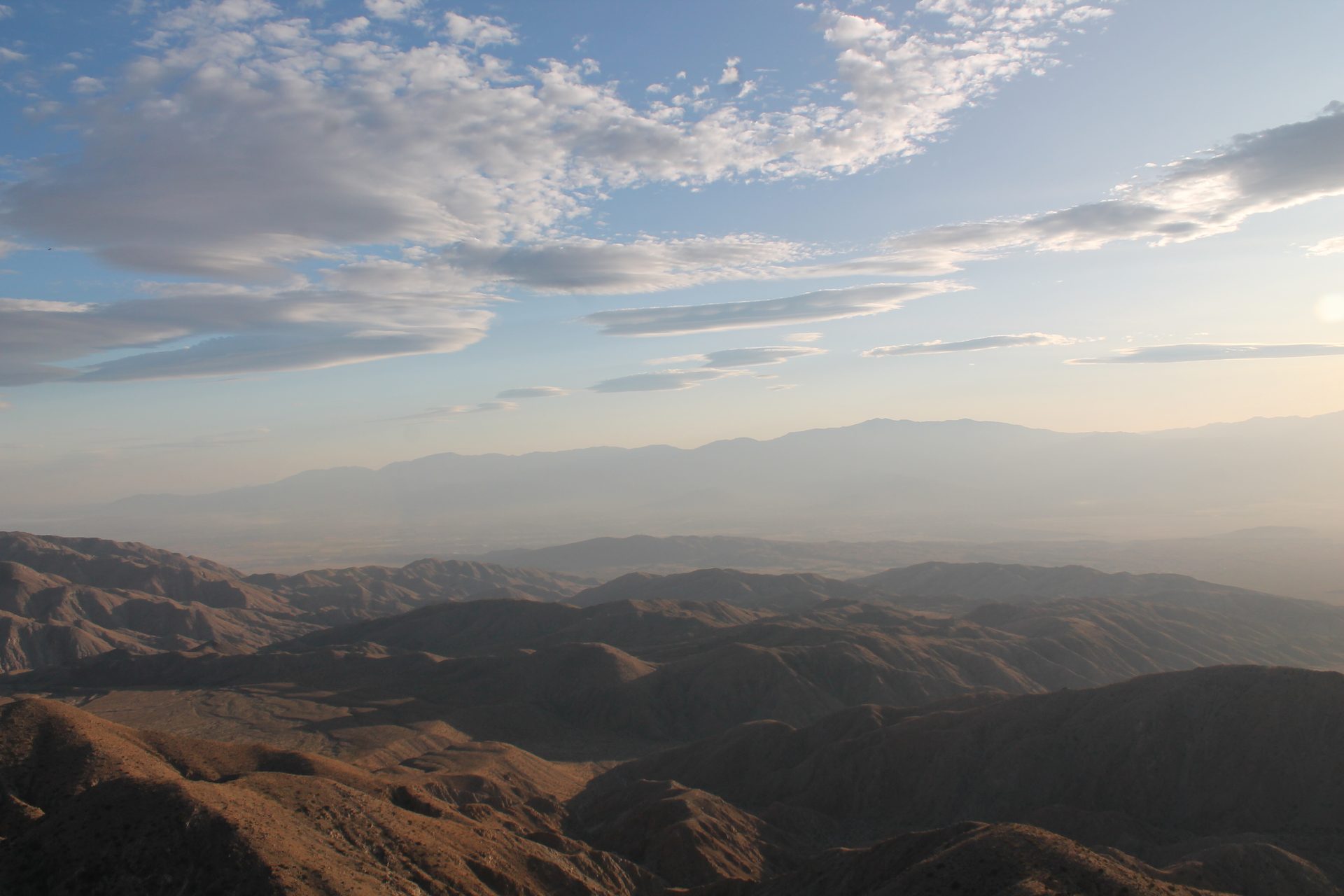 Joshua Tree photo