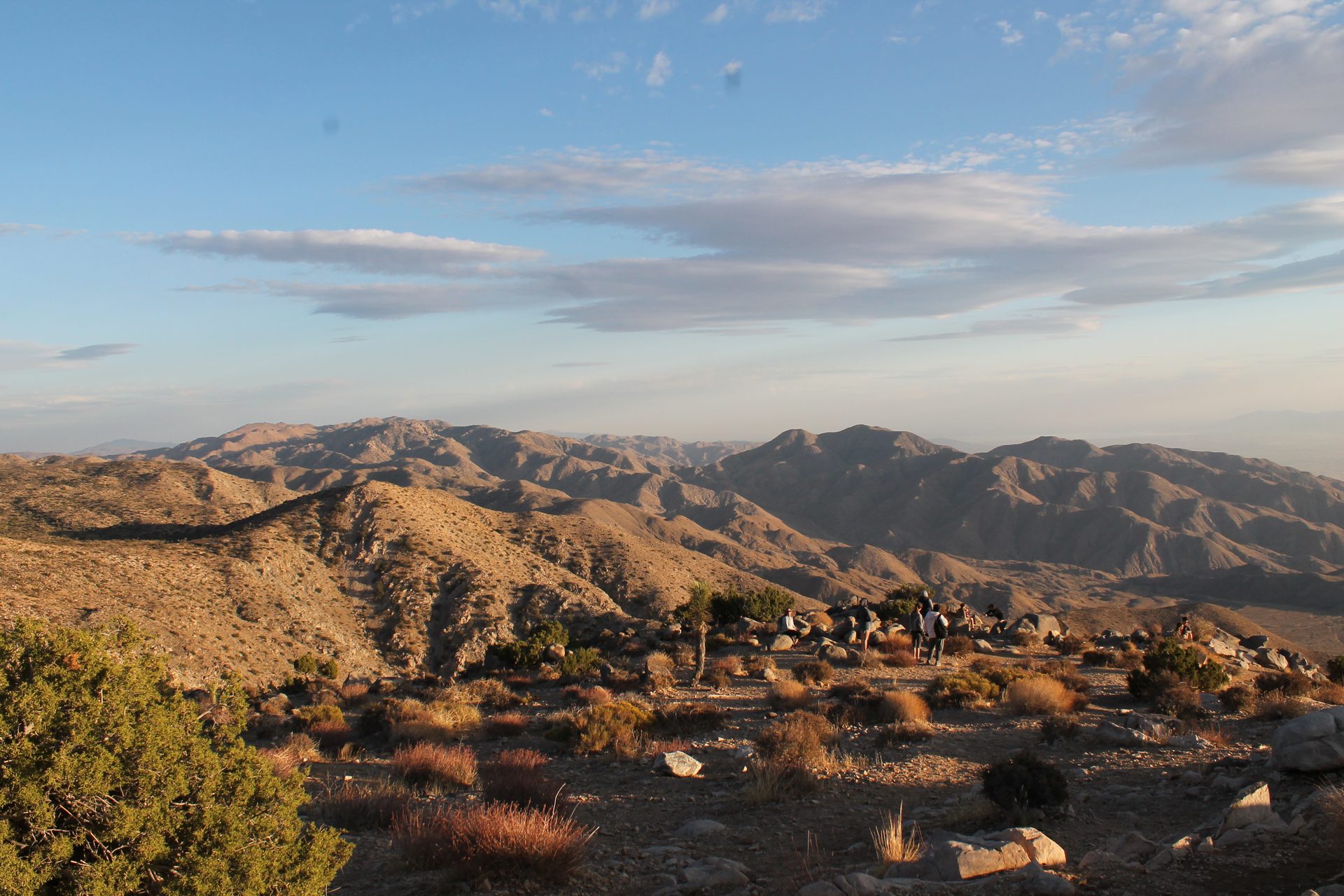 Joshua Tree photo
